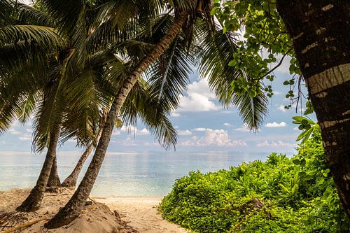 Beach anse royale on the Seychelles island Mahé