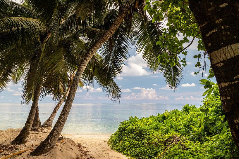 Plage anse royale sur l'île de Mahé aux Seychelles par Reiner Conrad