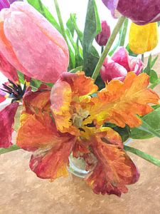 Tulips beauty