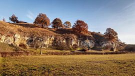 Herfst in Bemelen van Rob Boon