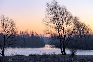 winter morning at Meinerswijk by Tania Perneel