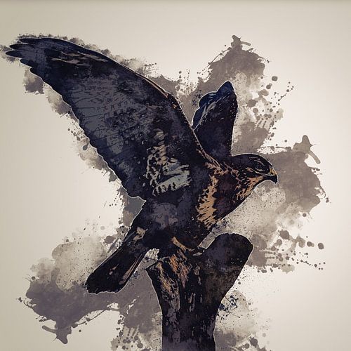 Buizerd - Roofvogel - in digital art uitvoering - vierkant