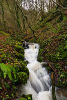Torrent