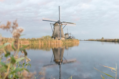 Windmühlen in Kinderdijk | Naturfotografie Wandbilder