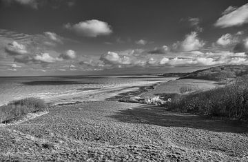Schwarz-Ampel;weiße Landschaft Normandie von Paul Delaet