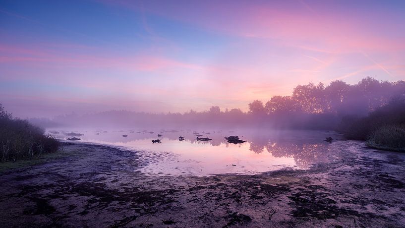 Ochtend bij het droog gevallen Meerbaansblaak van Nando Harmsen