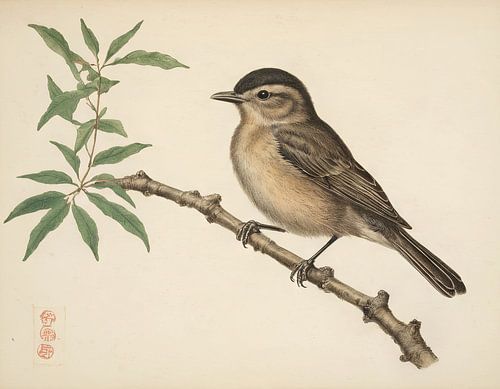 Oiseau sur une branche 2