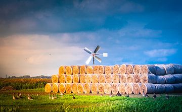 Fries Landscape with hay bales, windmill and geese. by Dorieke Haaima