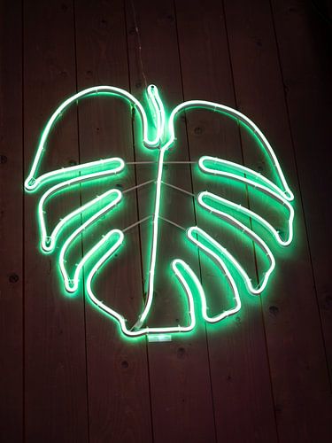Monstera feuilles vertes néon.