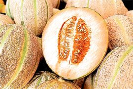 Honeydew melon 1.0 by Ingo Laue