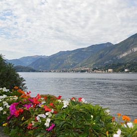 Switzerland by Abdullah Altintas