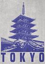 Sensoji-tempel in Tokio van DEN Vector thumbnail