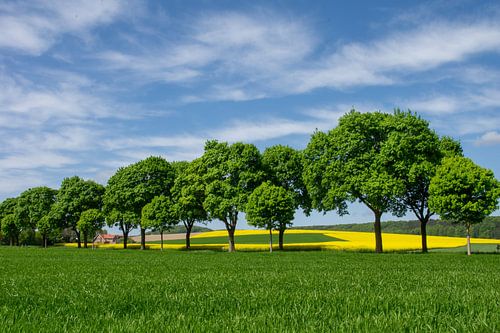 Breed land, met helder verkrachtingsveld