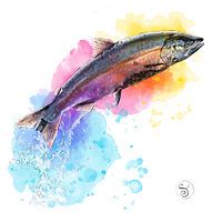 Salmon