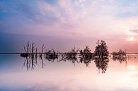 Lever du soleil sur le lac Brunstingerplas par Ton Drijfhamer Aperçu