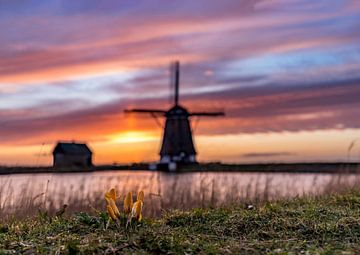 Moulin le coucher de soleil nord Texel