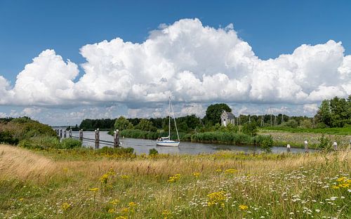 Calme et tranquillité au bord de l'eau
