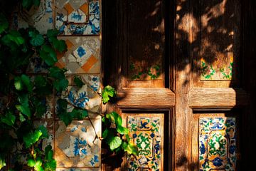 Carreaux colorés et porte en bois sur Poster Art Shop