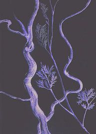 Corkscrew willow in purple by Claudia Gründler
