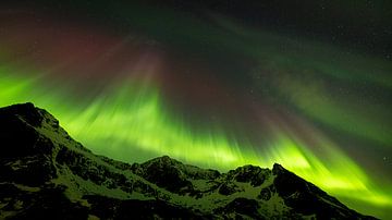 Het noorderlicht boven de bergen van Lofoten, Noorwegen van Nando Harmsen