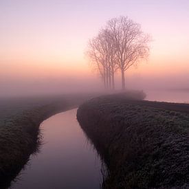 Fluss in Rhenoy bei Sonnenaufgang und Nebel von Michelle Peeters
