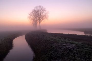 Riviertje in Rhenoy bij opkomende zon en mist