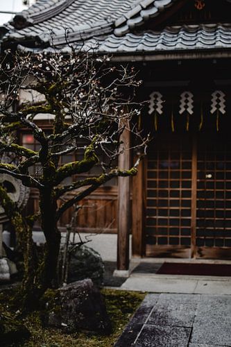 Kyoto