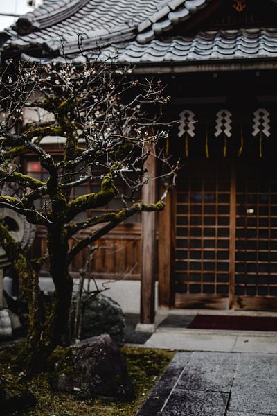 Kyoto by Hello Pompoyo