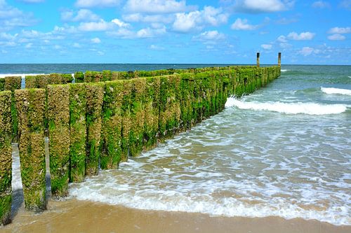 Houten golfbreker op het strand van Domburg