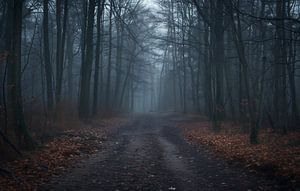 Wald