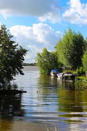 Doorkijk Reeuwijkse plassen van Leo Kramp Fotografie
