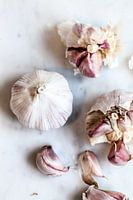Knoblauch