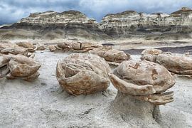 Striped rock eggs with sandstone at dawn, Bisti Badlands, De-Nah-Zin Wilderness Area, New Mexico, US by Frank Fichtmüller