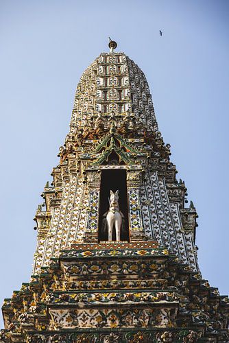 Wat Arun : le joyau brillant sur les rives de Bangkok