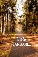 januari Norg