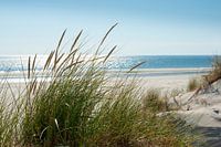 Düne