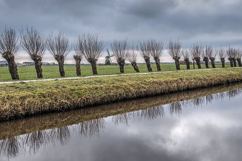 Willow trees and the mill of Klaarkampster on a quiet winter day