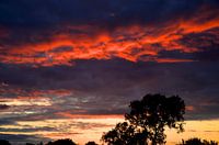 sunset in red