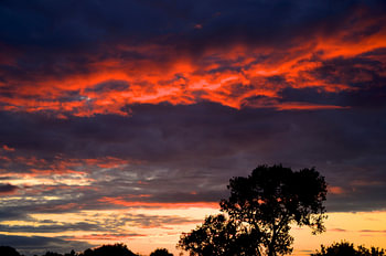 sunset in red