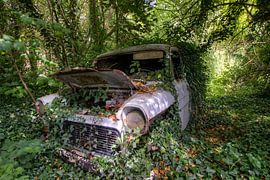 OLD CAR by michel van bijsterveld
