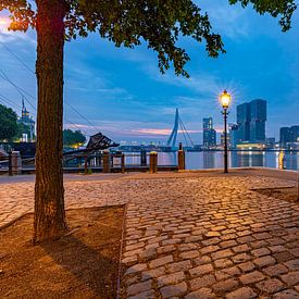 Rotterdam from the Veerhaven by Martien Snikkers