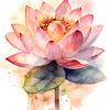 Lotusblume rosa und grün auf weißem Hintergrund von Digital Art Waves