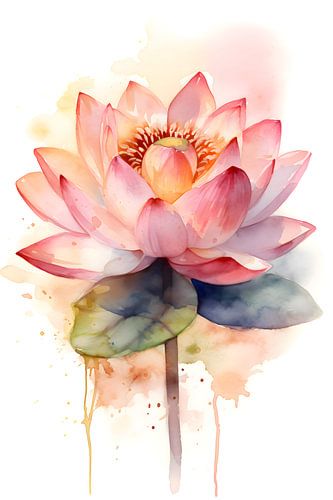 Lotus Bloem roze en groen op witte achtergrond