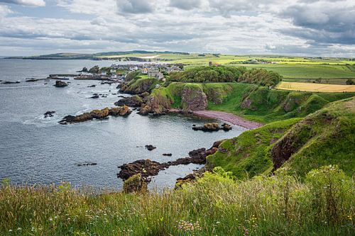 Rotskust bij St Abbs Head in Schotland
