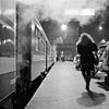 Centraal Station Antwerpen van Raoul Suermondt