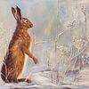 lets find some snow.... by Els Fonteine