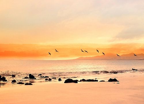 Abendmelodie auf Lanzarote