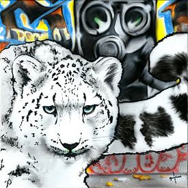 Urban Ghost - Sneeuwluipaard in de betonnen jungle van WeltReisender Magazin