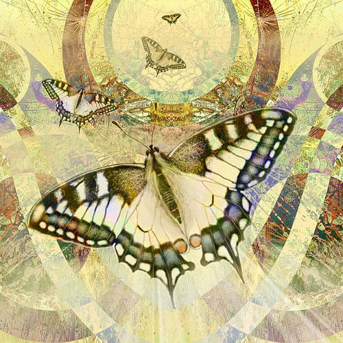 Flying to a new world.