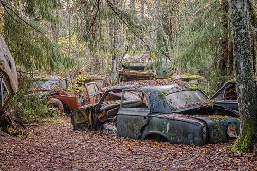 Roestige erfenissen in het bos - autokerkhof in Zweden